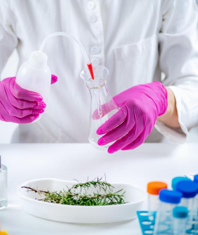 Long-Lasting Body Fragrance